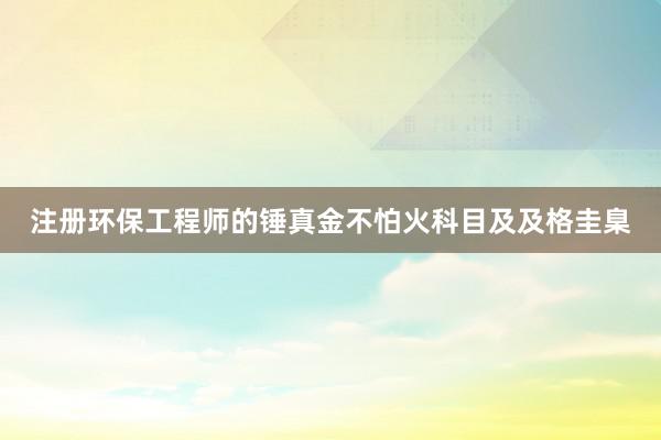 注册环保工程师的锤真金不怕火科目及及格圭臬