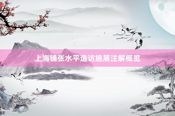 上海铺张水平造访施展注解概览